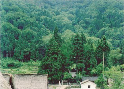 3-21. Ainokura Village: Jinushi-jinja (Shinto shrine), gate and grove (designated environmental features)
