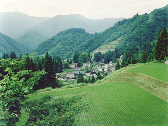 3-3. Ainokura Village: distant view from the north
