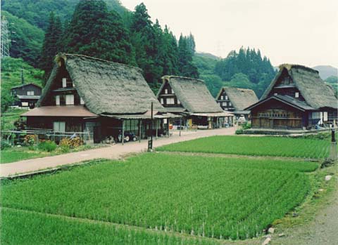 3-6. Ainokura Village: village view