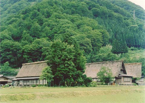 4-6. Suganuma Village: village view