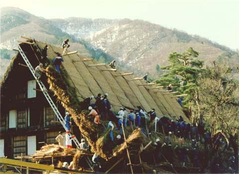 5-10. Rethatching work by Yui : Myozen-ji living quarters, Ogimachi Village