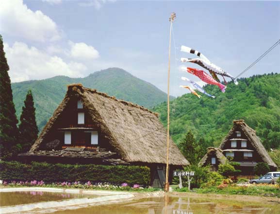 5-15. Koi-nobori (carp streamer for boys' day celebration), Ogimachi Village
