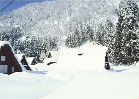 5-3. Village in heavy snow, Ainokura Village