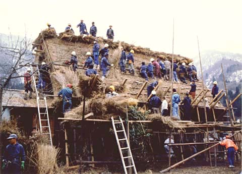 5-8. Rethatching work by Yui: Mizuno House, Ogimachi Village