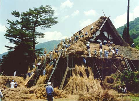 5-9. Rethatching work by Yui: Myozen-ji main hall, Ogimachi Village