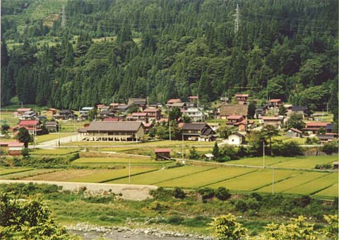 7-7. Disappearance of the Gashho Style: Shirakawa-Mura, Iijima Village, 1994